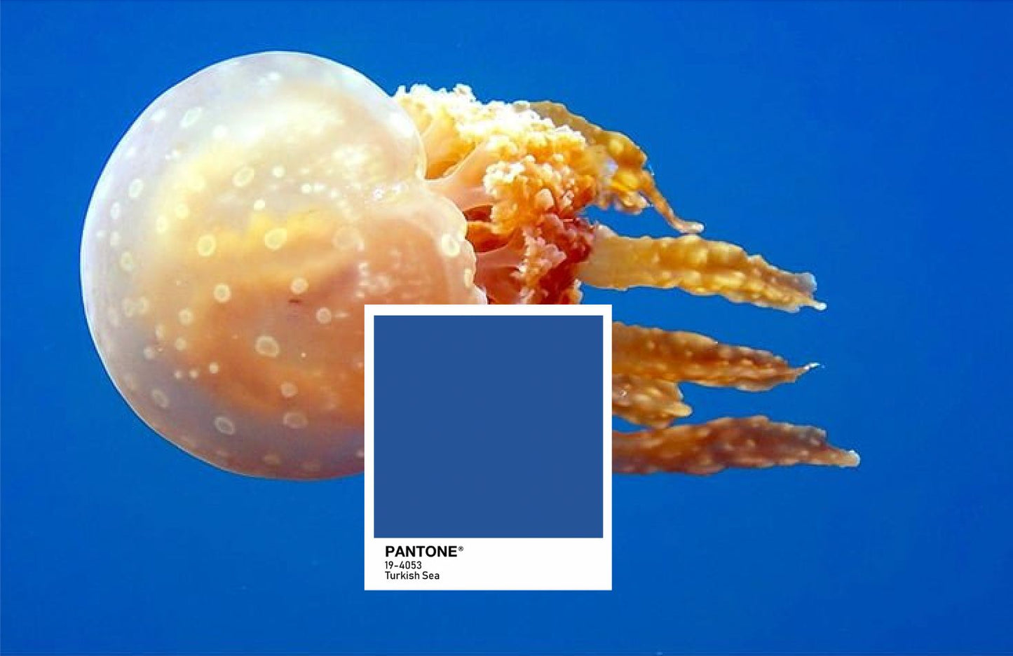 Pantone. Turkish Sea. 19-4053. Ibiza Blue (Limited Edition)